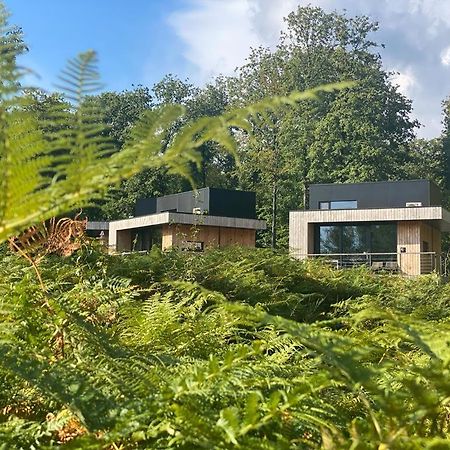 Forest Cube Oignies Zewnętrze zdjęcie