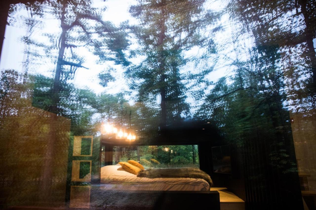 Forest Cube Oignies Zewnętrze zdjęcie