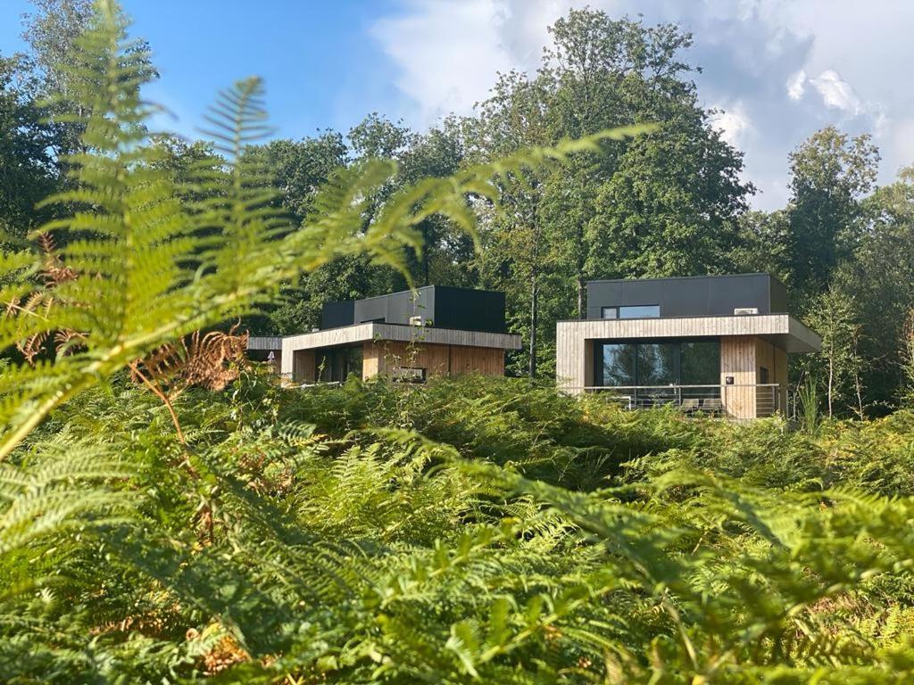 Forest Cube Oignies Zewnętrze zdjęcie